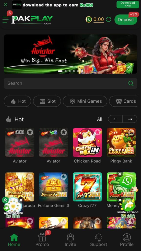 PAKPLAY Game